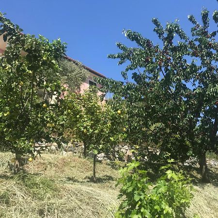 Villa Teresa Casarza Ligure Zewnętrze zdjęcie