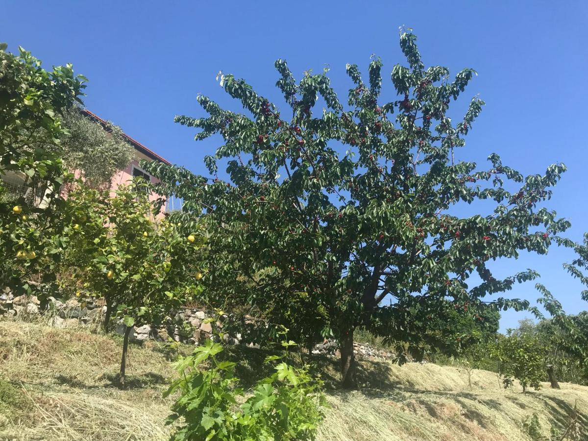 Villa Teresa Casarza Ligure Zewnętrze zdjęcie