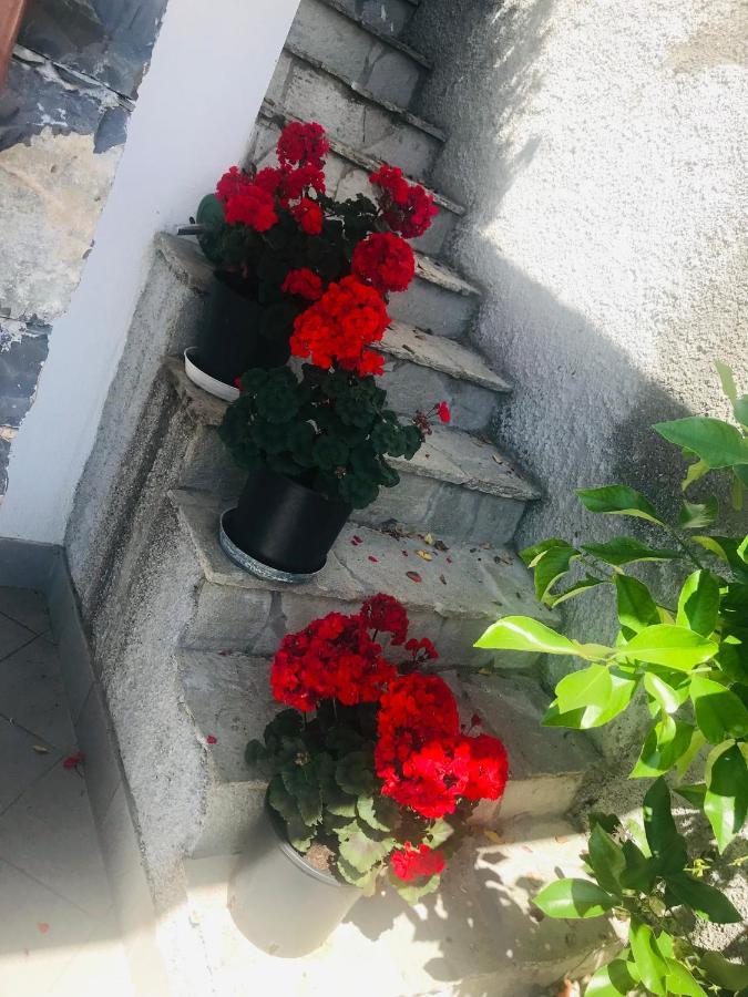 Villa Teresa Casarza Ligure Zewnętrze zdjęcie